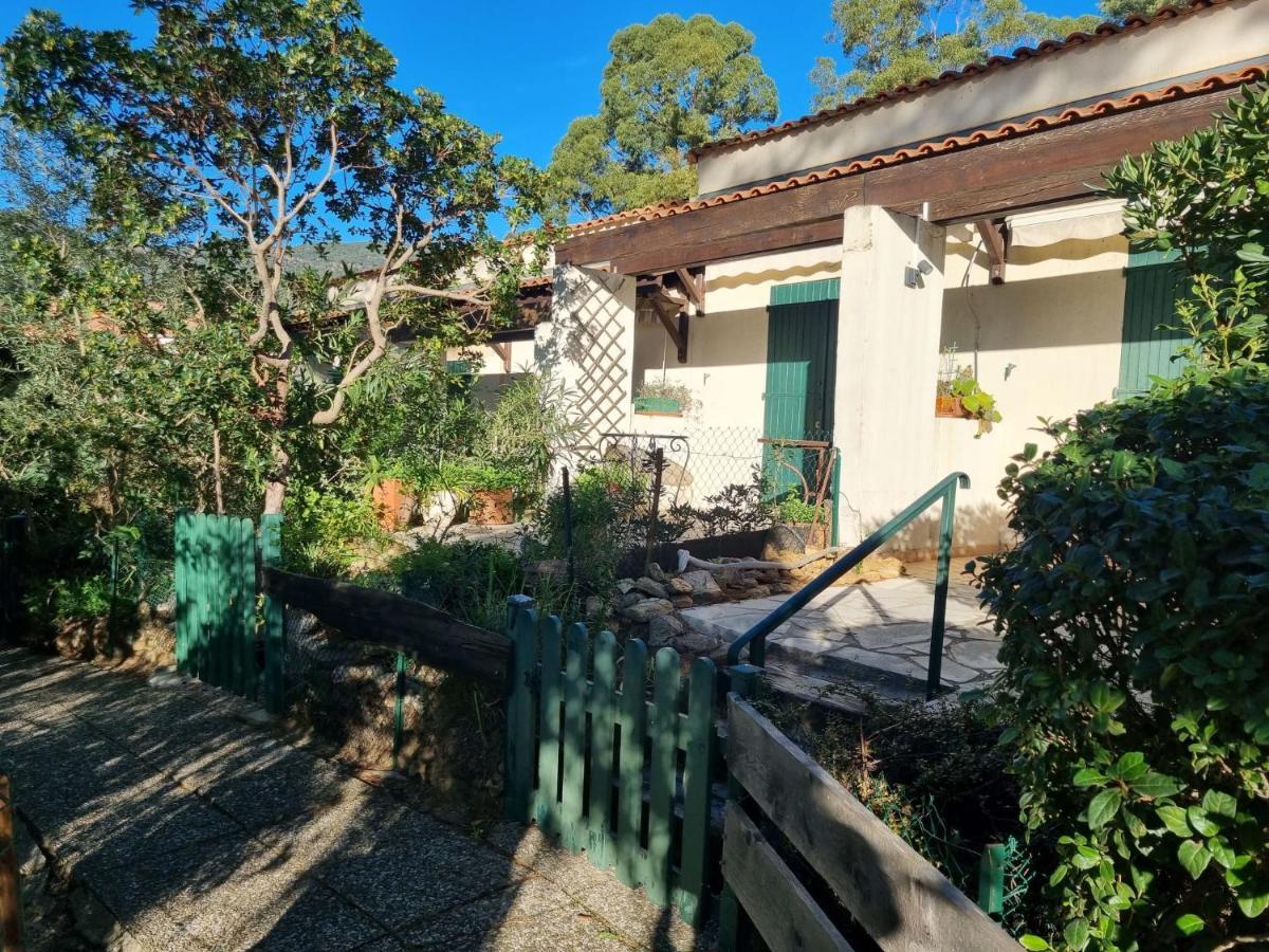 Studio Mas De La Plage By Interhome Cavalaire-sur-Mer Zewnętrze zdjęcie